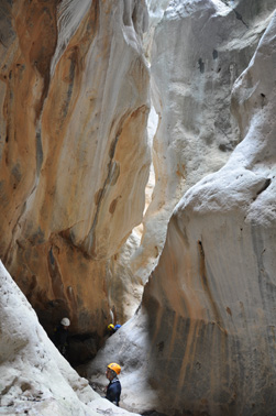 Narrow section